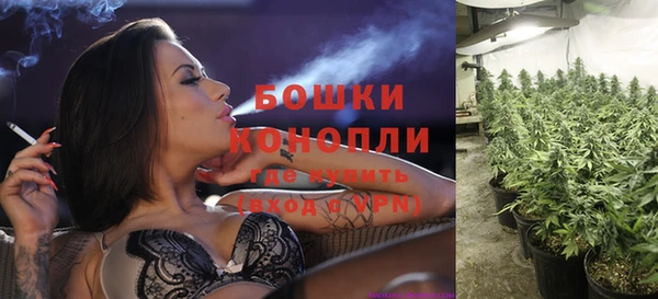 apvp Липки
